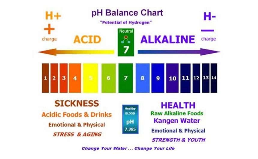 alkaline acidic PH 2
