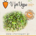 GEO Σπόροι για φύτρα Μουστάρδας, Οργανικοί, 500 γραμμ.