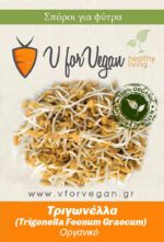 GEO Σπόροι για φύτρα Τριγωνέλλας, Οργανικοί, 200 γραμμ.