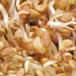 GEO Σπόροι για φύτρα Τριγωνέλλας, Οργανικοί, 200 γραμμ. - Image 2