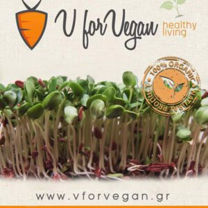 GEO Σπόροι για φύτρα Λιναρόσπορου, Οργανικοί, 500 γραμμ.