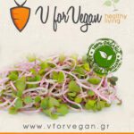 GEO Σπόροι για φύτρα  Ραπάνι Ροζ (China Rose) Οργανικοί, 100 γρ.