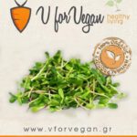 GEO Σπόροι για φύτρα Ηλιόσπορου, Οργανικοί, 500 γραμμ.