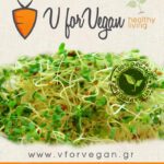 GEO Σπόροι για φύτρα Άλφα-Άλφα, Οργανικοί, 100 γραμμ.