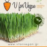 GEO Σπόροι για φύτρα Κριθαριού, οργανικοί, 500 γραμμ.