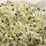 GEO Σπόροι για φύτρα Κινέζικου σχοινόπρασου, Οργανικοί, 50 γρ.