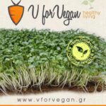 GEO Σπόροι για φύτρα  Μπρόκολου, Οργανικοί, 500 γρ.