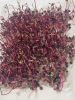 Σπόροι για φύτρα  Κόκκινου Παντζαριού,50 γραμ.