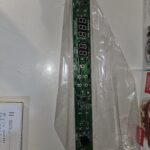 SEDONA MAIN DISPLAY, MAIN B/D V1.0