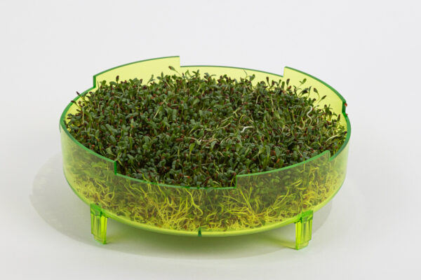 GEO Sprouter, Δισκάκια Βλάστησης Σπόρων για Φύτρα (x3) - Image 2