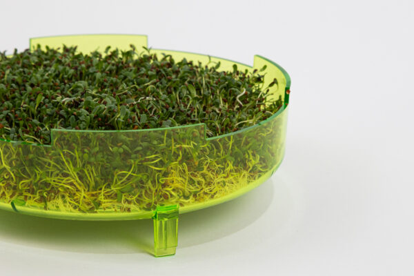 GEO Sprouter, Δισκάκια Βλάστησης Σπόρων για Φύτρα (x3) - Image 3