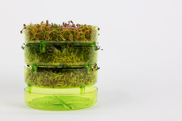 GEO Sprouter, Δισκάκια Βλάστησης Σπόρων για Φύτρα (x3) - Image 5