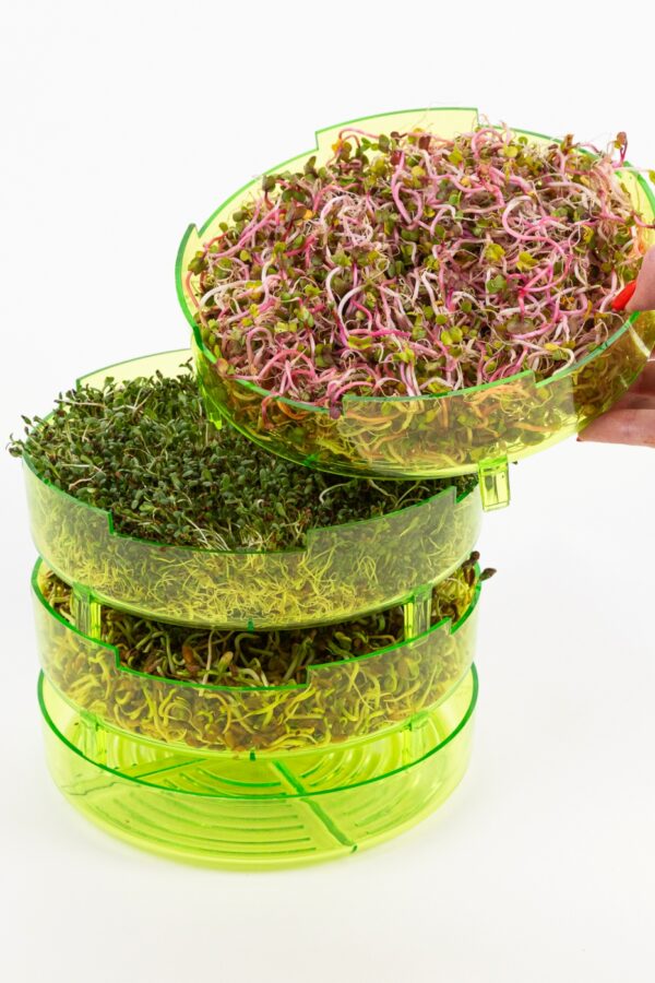 GEO Sprouter, Δισκάκια Βλάστησης Σπόρων για Φύτρα (x3) - Image 1