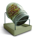 GEO , Βάζο για φύτρα με βάση από ανοξείδωτο χάλυβα και κεραμικό πιάτο