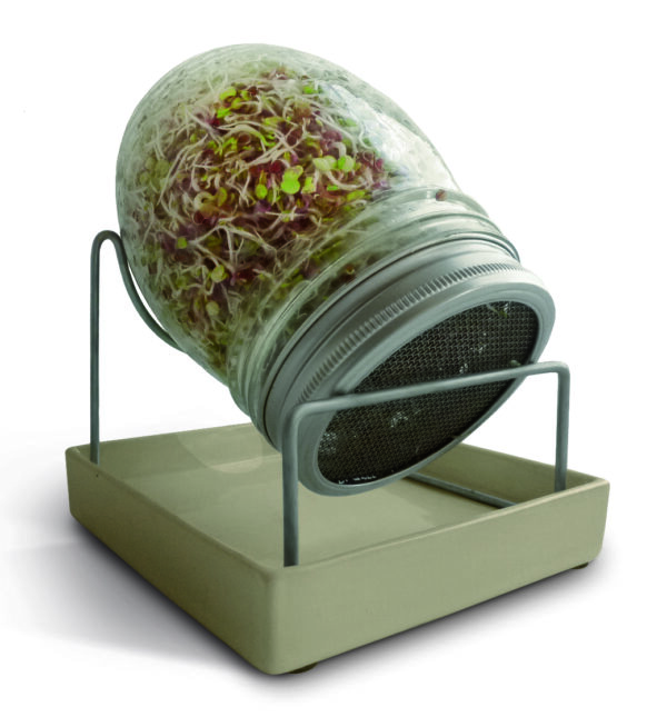 GEO , Βάζο για φύτρα με βάση από ανοξείδωτο χάλυβα και κεραμικό πιάτο - Image 1