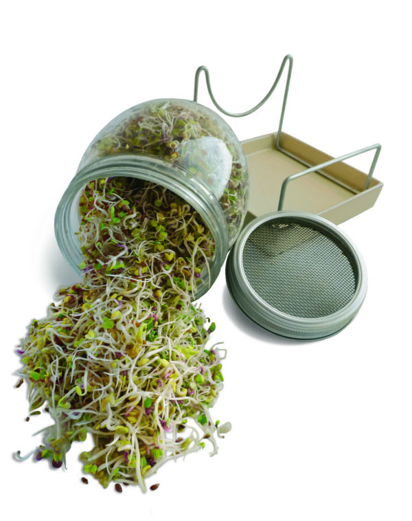 GEO , Βάζο για φύτρα με βάση από ανοξείδωτο χάλυβα και κεραμικό πιάτο - Image 2