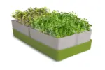 Συσκευή για βλαστάρια-GEO Smart Greens