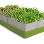 Συσκευή για βλαστάρια-GEO Smart Greens